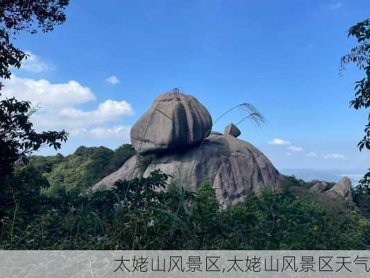 太姥山风景区,太姥山风景区天气