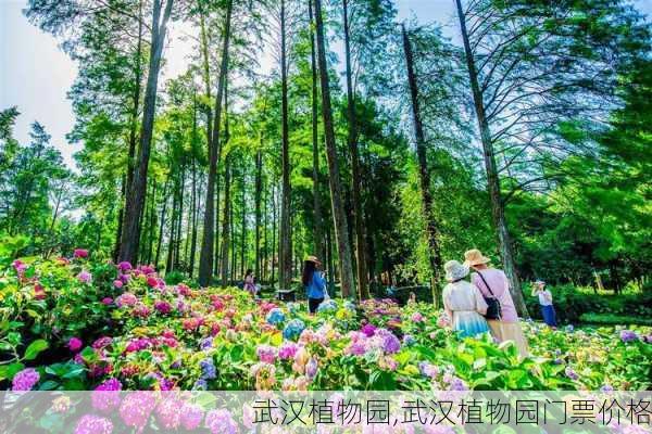 武汉植物园,武汉植物园门票价格