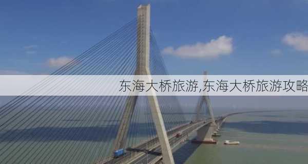 东海大桥旅游,东海大桥旅游攻略