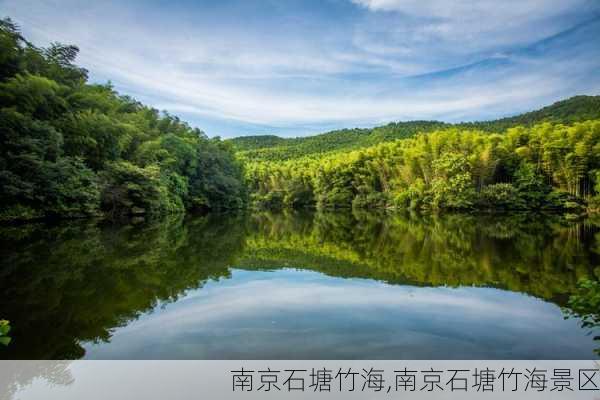 南京石塘竹海,南京石塘竹海景区