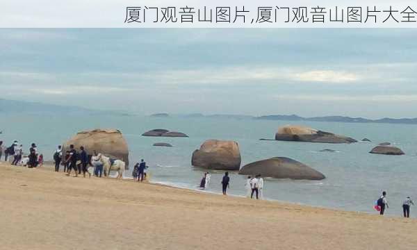 厦门观音山图片,厦门观音山图片大全