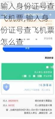 输入身份证号查飞机票,输入身份证号查飞机票怎么查