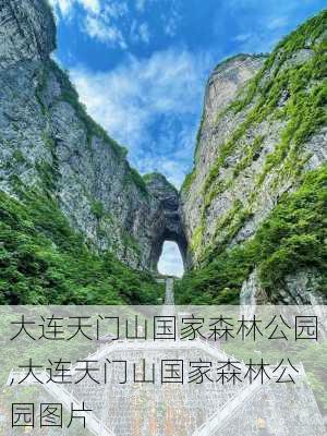 大连天门山国家森林公园,大连天门山国家森林公园图片