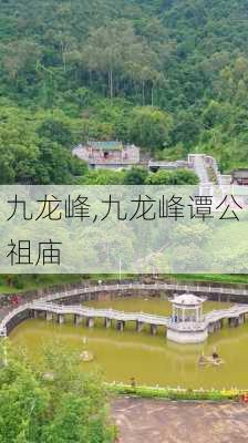 九龙峰,九龙峰谭公祖庙