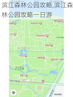 滨江森林公园攻略,滨江森林公园攻略一日游