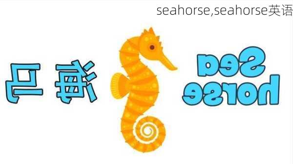 seahorse,seahorse英语