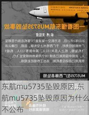 东航mu5735坠毁原因,东航mu5735坠毁原因为什么不公布