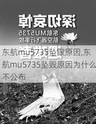 东航mu5735坠毁原因,东航mu5735坠毁原因为什么不公布