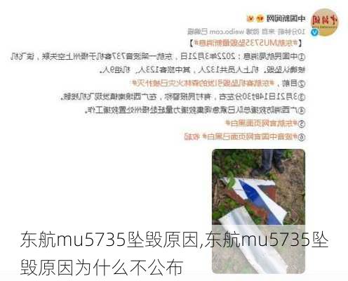 东航mu5735坠毁原因,东航mu5735坠毁原因为什么不公布