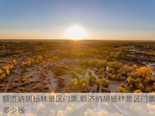 额济纳胡杨林景区门票,额济纳胡杨林景区门票多少钱