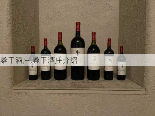 桑干酒庄,桑干酒庄介绍