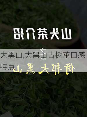 大黑山,大黑山古树茶口感特点