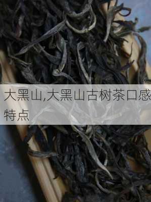 大黑山,大黑山古树茶口感特点