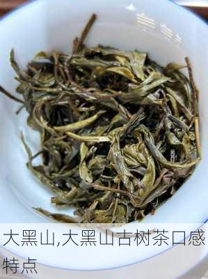 大黑山,大黑山古树茶口感特点