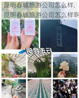 昆明春城旅游公司怎么样,昆明春城旅游公司怎么样啊