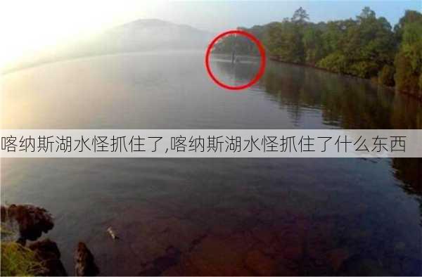 喀纳斯湖水怪抓住了,喀纳斯湖水怪抓住了什么东西