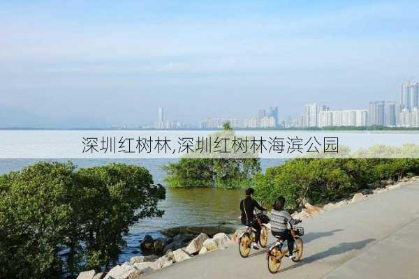 深圳红树林,深圳红树林海滨公园