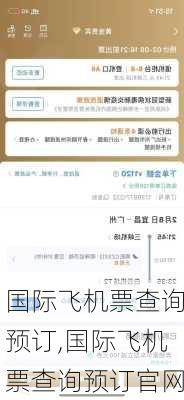 国际飞机票查询预订,国际飞机票查询预订官网