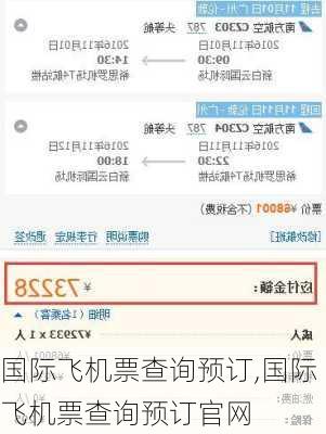 国际飞机票查询预订,国际飞机票查询预订官网