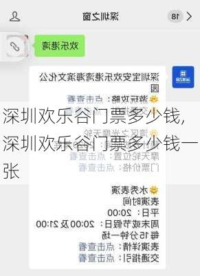 深圳欢乐谷门票多少钱,深圳欢乐谷门票多少钱一张