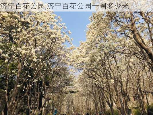 济宁百花公园,济宁百花公园一圈多少米