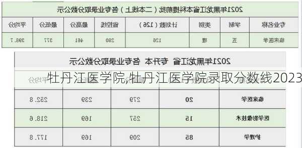 牡丹江医学院,牡丹江医学院录取分数线2023