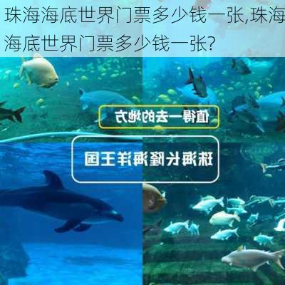 珠海海底世界门票多少钱一张,珠海海底世界门票多少钱一张?