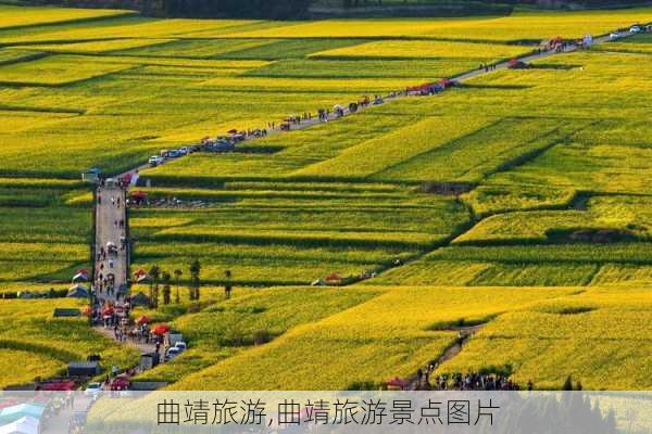 曲靖旅游,曲靖旅游景点图片