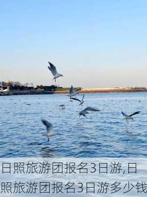 日照旅游团报名3日游,日照旅游团报名3日游多少钱