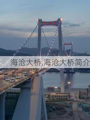 海沧大桥,海沧大桥简介