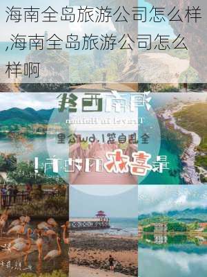 海南全岛旅游公司怎么样,海南全岛旅游公司怎么样啊