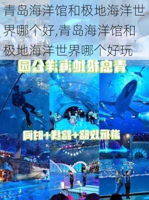 青岛海洋馆和极地海洋世界哪个好,青岛海洋馆和极地海洋世界哪个好玩