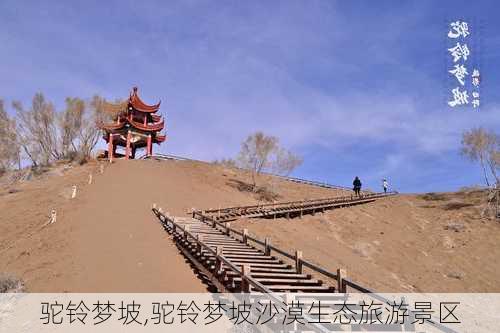 驼铃梦坡,驼铃梦坡沙漠生态旅游景区