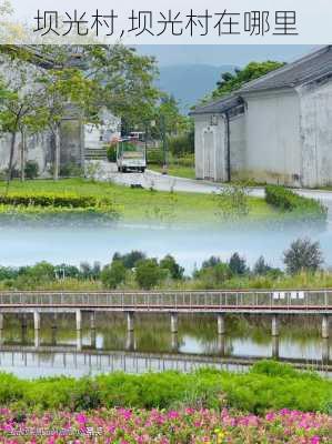 坝光村,坝光村在哪里