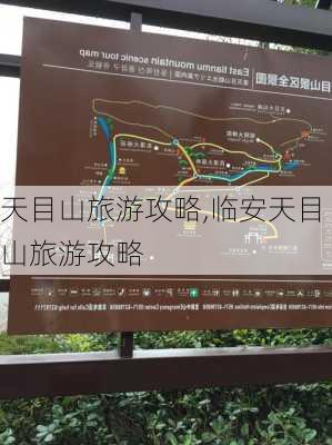 天目山旅游攻略,临安天目山旅游攻略