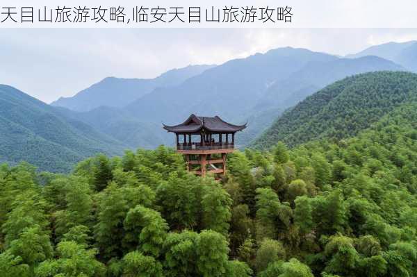 天目山旅游攻略,临安天目山旅游攻略