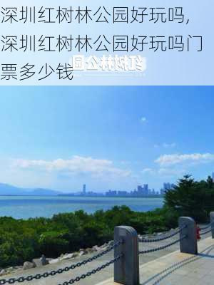 深圳红树林公园好玩吗,深圳红树林公园好玩吗门票多少钱