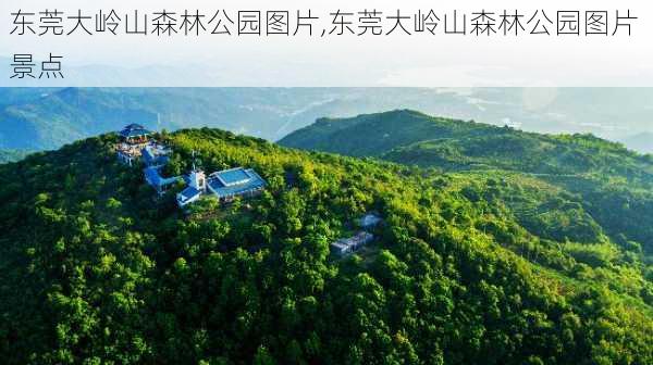 东莞大岭山森林公园图片,东莞大岭山森林公园图片 景点