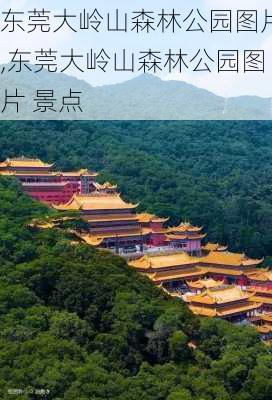 东莞大岭山森林公园图片,东莞大岭山森林公园图片 景点