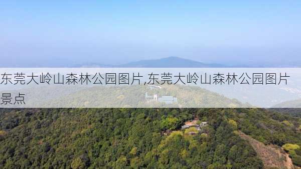 东莞大岭山森林公园图片,东莞大岭山森林公园图片 景点