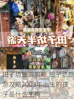 田子坊旅游攻略,田子坊旅游攻略2003年出生的孩子是什么生肖