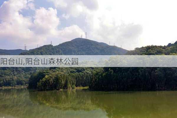 阳台山,阳台山森林公园