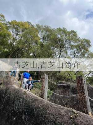 青芝山,青芝山简介