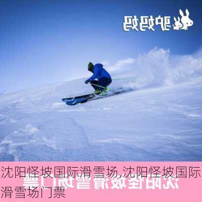 沈阳怪坡国际滑雪场,沈阳怪坡国际滑雪场门票