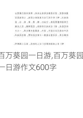 百万葵园一日游,百万葵园一日游作文600字