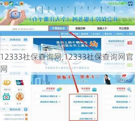 12333社保查询网,12333社保查询网官网