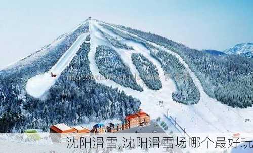 沈阳滑雪,沈阳滑雪场哪个最好玩