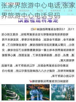 张家界旅游中心电话,张家界旅游中心电话号码