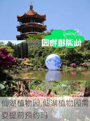 仙湖植物园,仙湖植物园需要提前预约吗