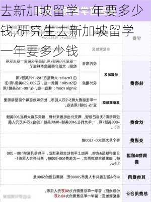 去新加坡留学一年要多少钱,研究生去新加坡留学一年要多少钱